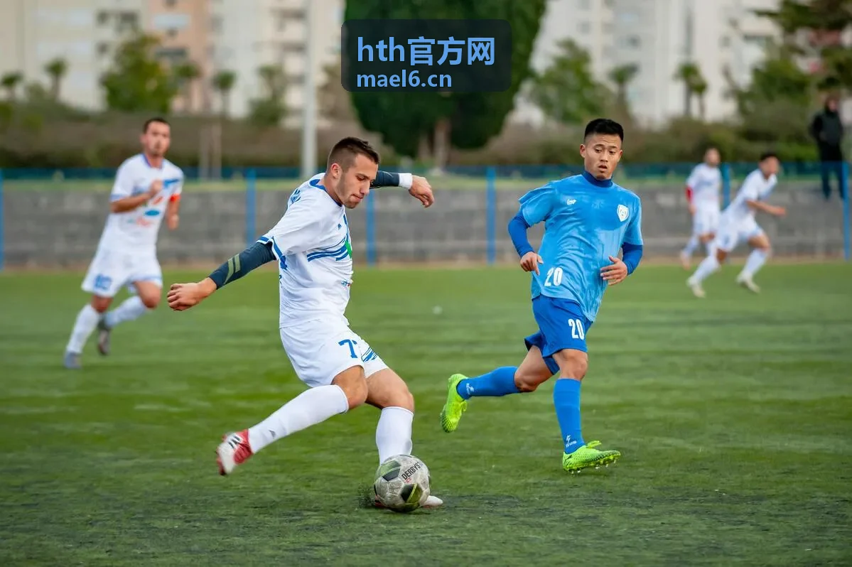 hth官方网最新版界面展示